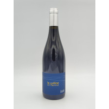Vin de France Domaine des Pothiers "La Colline en Flamme" Rouge 2023 75cl