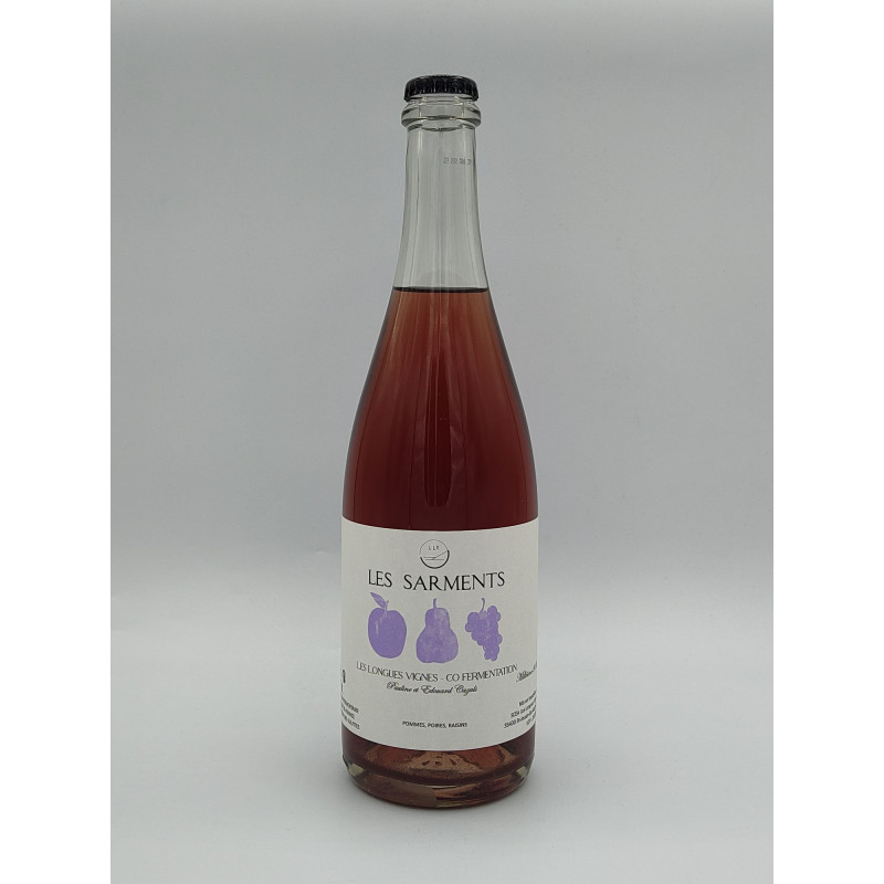 Cidre de Cofermentation Domaine Les Longues Vignes "Les Sarments " 2022 75 cl