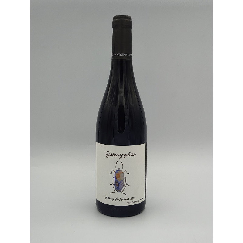 AOC Coteaux Bourguignons Antoine Lienhardt "Gamayoptère" Rouge 2021 75cl