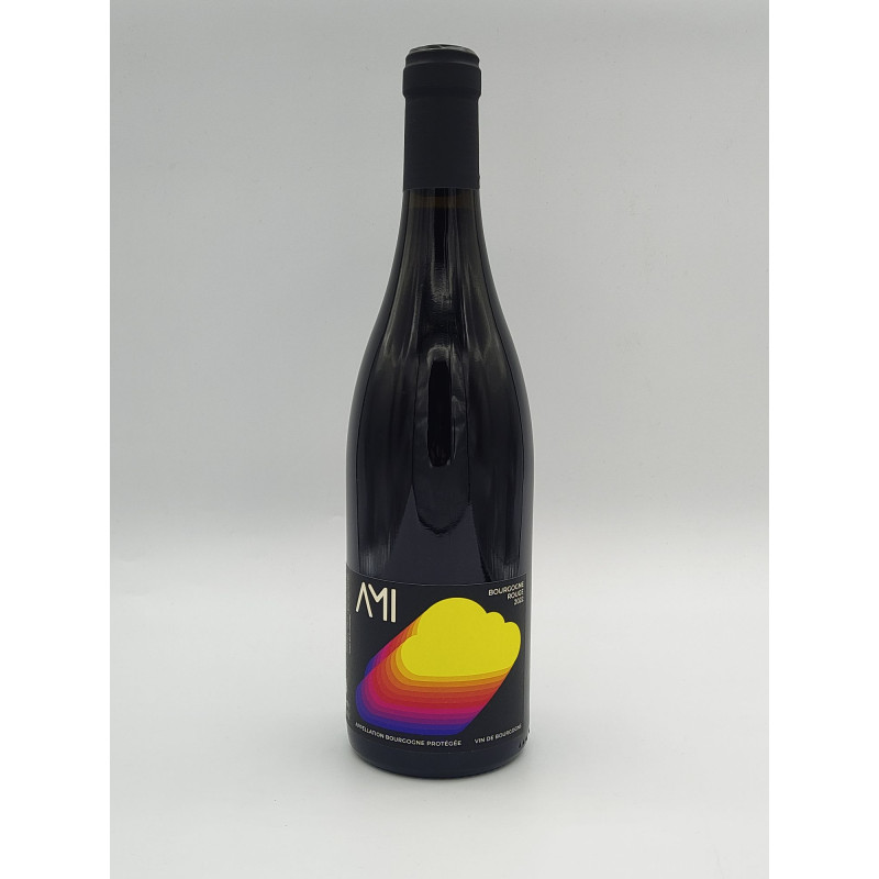 AOP Bourgogne Domaine Ami "Neige de Printemps" Rouge 2022 75CL