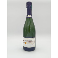 AOC Champagne Exra-Dry Maison Françoise Bedel   "L'âme de la Terre 2008" 75cl