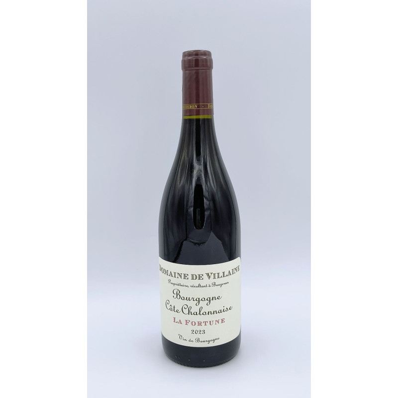 AOC Bourgogne Côte Chalonnaise "La Fortune" Domaine De Villaine Rouge 2023 75cl