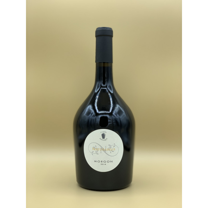 AOC Morgon Domaine Naturabilis "Antique" Rouge 2021 75cl AOC Morgon Domaine Naturabilis "Antique" Rouge 2021 75cl