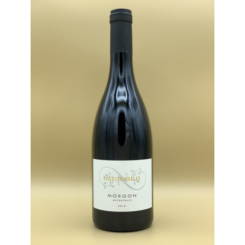 AOC Morgon Domaine Naturabilis "Ancestrale" Rouge 2021 75cl AOC Morgon Domaine Naturabilis "Ancestrale" Rouge 2021 75cl